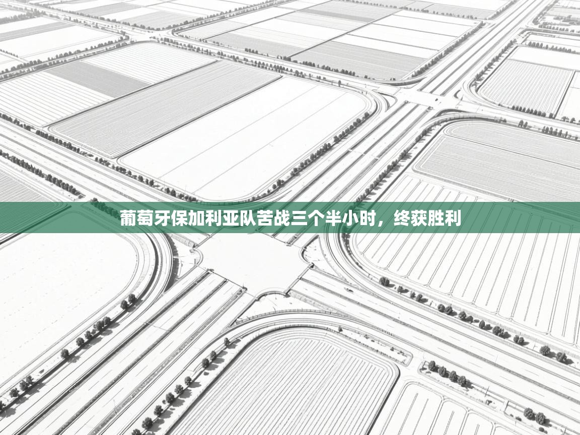 云开官网-葡萄牙保加利亚队苦战三个半小时，终获胜利  第1张