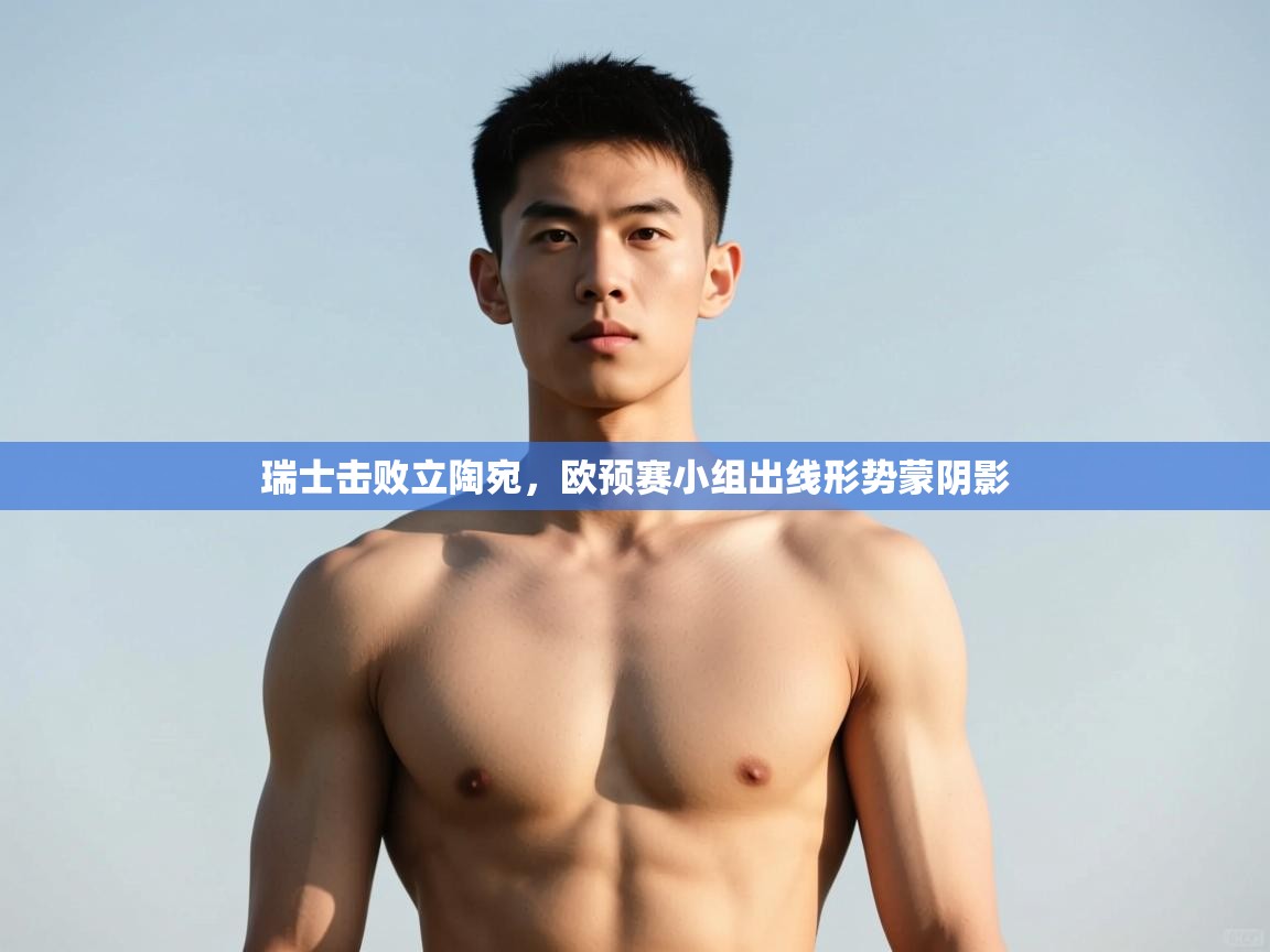 开云数据-瑞士击败立陶宛，欧预赛小组出线形势蒙阴影  第4张