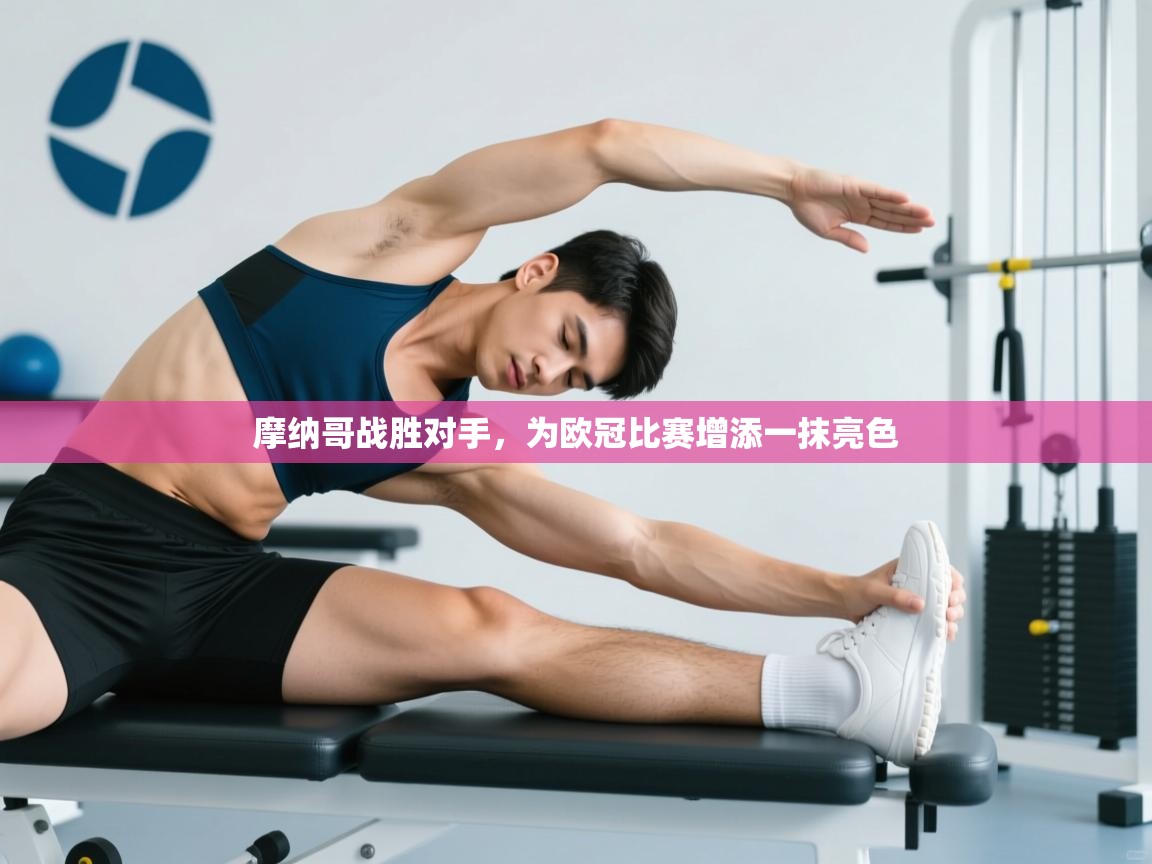 开云体育app投诉-摩纳哥战胜对手，为欧冠比赛增添一抹亮色  第2张